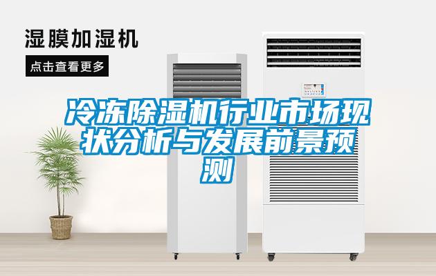 冷凍除濕機(jī)行業(yè)市場現(xiàn)狀分析與發(fā)展前景預(yù)測