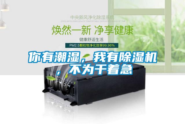 你有潮濕，我有除濕機(jī)，不為干著急