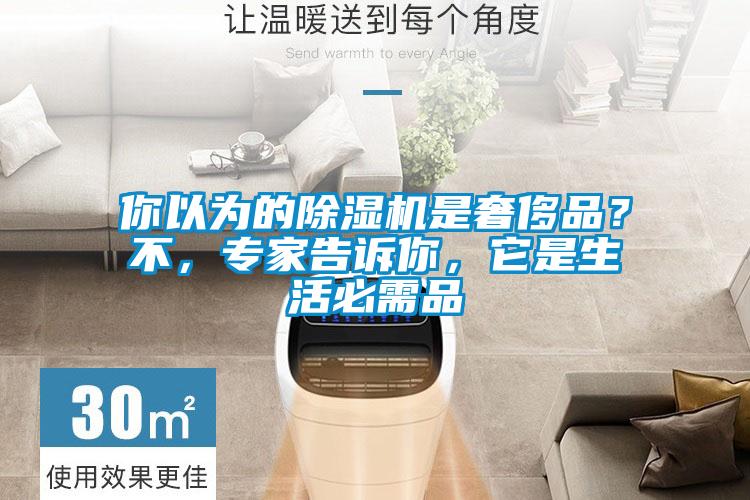 你以為的除濕機(jī)是奢侈品？不，專家告訴你，它是生活必需品