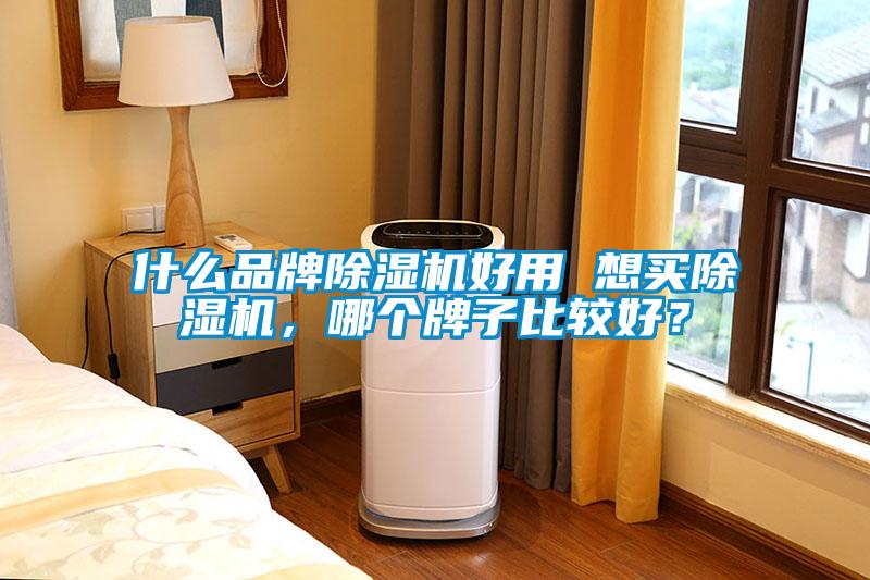 什么品牌除濕機(jī)好用 想買除濕機(jī)，哪個牌子比較好？
