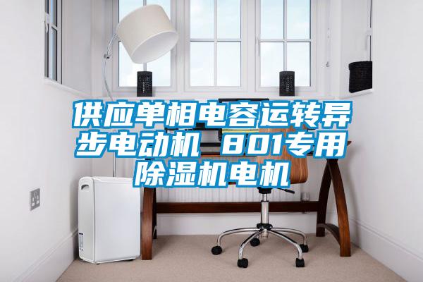 供應單相電容運轉(zhuǎn)異步電動機 801專用除濕機電機