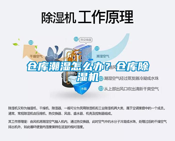 倉庫潮濕怎么辦？倉庫除濕機
