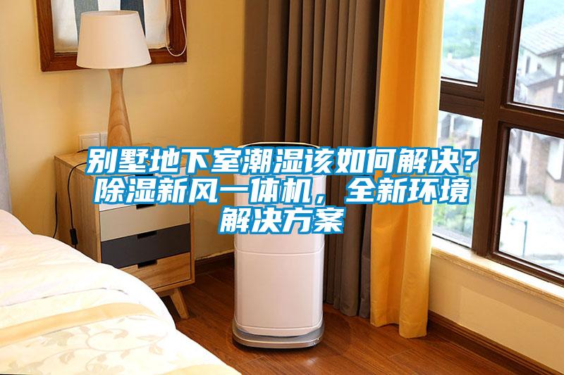 別墅地下室潮濕該如何解決？除濕新風(fēng)一體機(jī)，全新環(huán)境解決方案