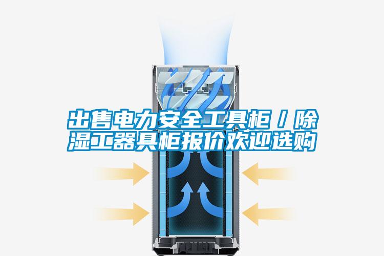 出售電力安全工具柜／除濕工器具柜報(bào)價(jià)歡迎選購(gòu)