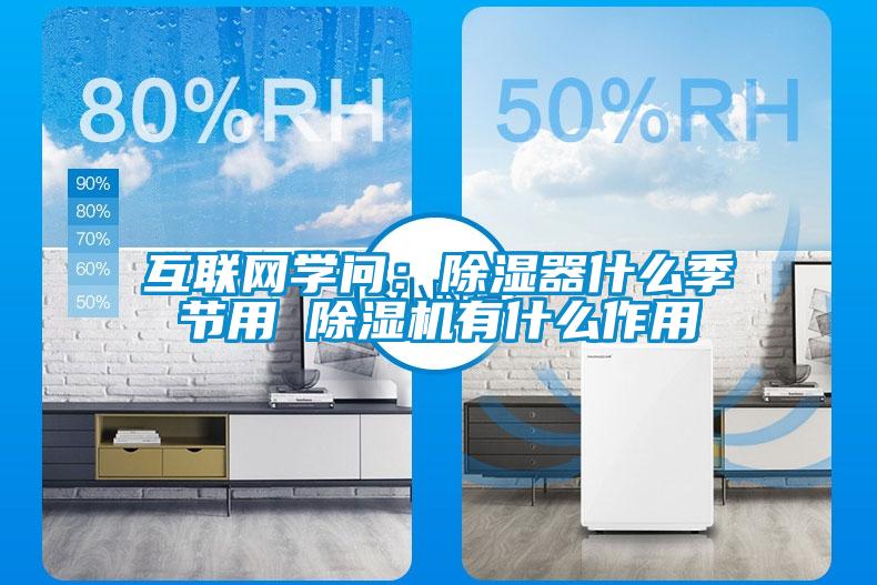 互聯網學問：除濕器什么季節(jié)用 除濕機有什么作用