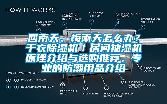 回南天、梅雨天怎么辦？干衣除濕機(jī)／房間抽濕機(jī)原理介紹與選購(gòu)?fù)扑]，專(zhuān)業(yè)的防潮用品介紹