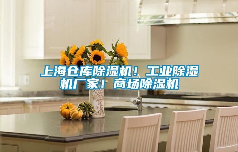 上海倉庫除濕機(jī)！工業(yè)除濕機(jī)廠家！商場(chǎng)除濕機(jī)