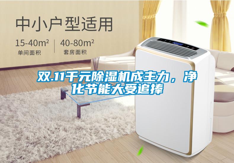 雙.11千元除濕機(jī)成主力，凈化節(jié)能大受追捧