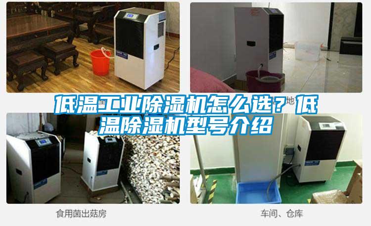 低溫工業(yè)除濕機(jī)怎么選？低溫除濕機(jī)型號(hào)介紹
