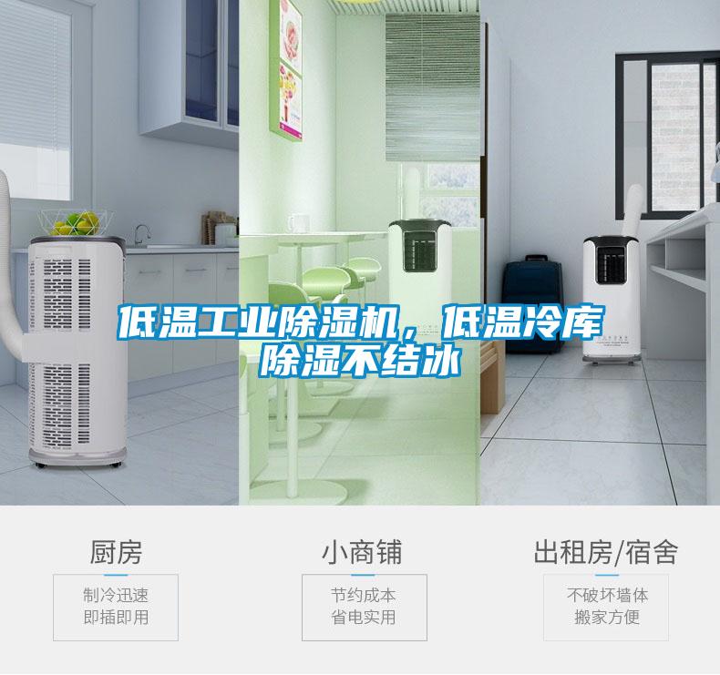 低溫工業(yè)除濕機(jī)，低溫冷庫(kù)除濕不結(jié)冰