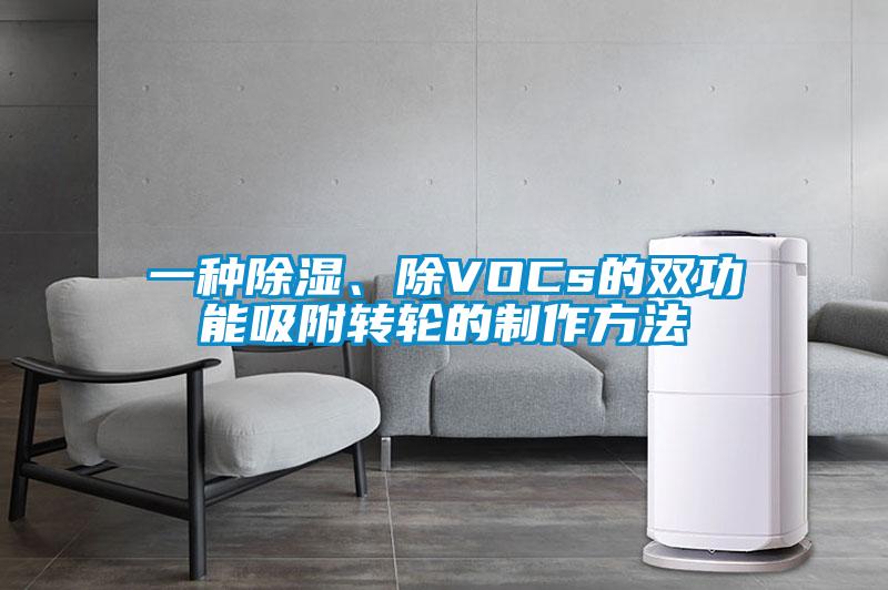 一種除濕、除VOCs的雙功能吸附轉輪的制作方法