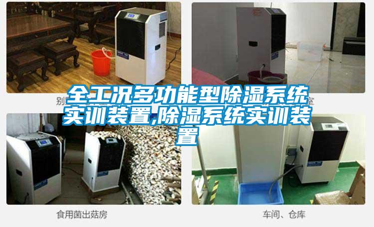 全工況多功能型除濕系統(tǒng)實訓裝置,除濕系統(tǒng)實訓裝置
