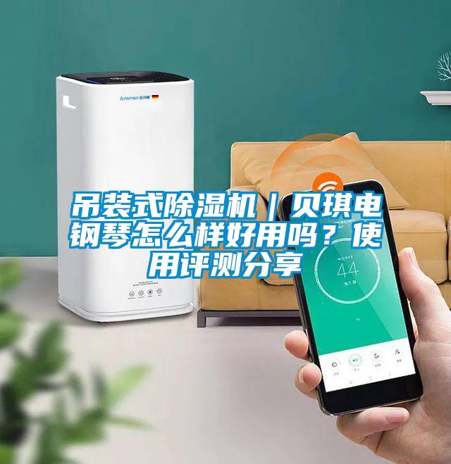 吊裝式除濕機(jī)｜貝琪電鋼琴怎么樣好用嗎？使用評(píng)測(cè)分享