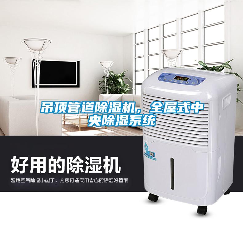 吊頂管道除濕機(jī)，全屋式中央除濕系統(tǒng)