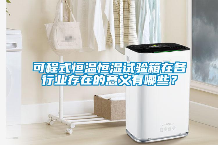 可程式恒溫恒濕試驗(yàn)箱在各行業(yè)存在的意義有哪些？