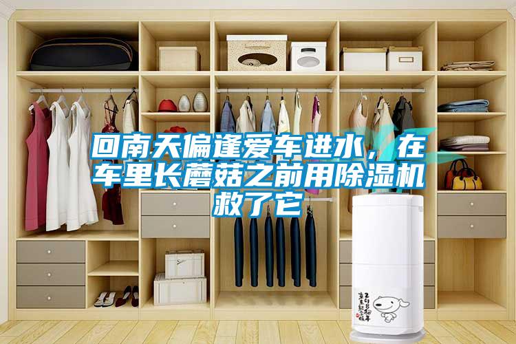 回南天偏逢愛車進(jìn)水，在車?yán)镩L蘑菇之前用除濕機(jī)救了它