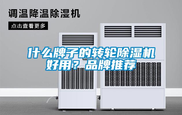 什么牌子的轉(zhuǎn)輪除濕機(jī)好用？品牌推薦