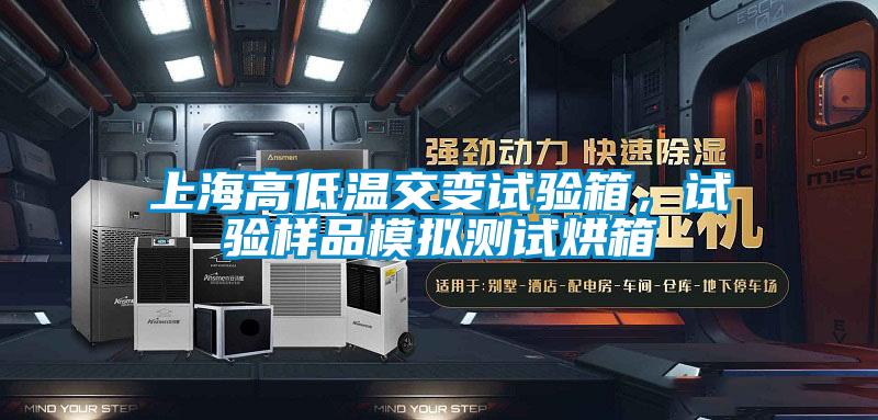 上海高低溫交變試驗箱，試驗樣品模擬測試烘箱