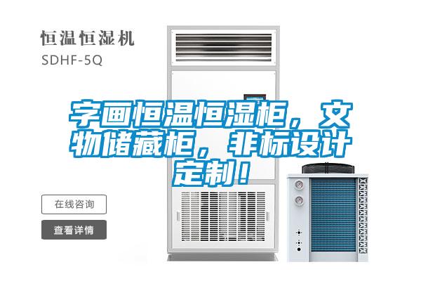 字畫恒溫恒濕柜，文物儲藏柜，非標(biāo)設(shè)計(jì)定制！