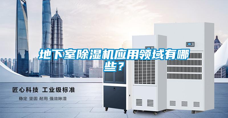 地下室除濕機(jī)應(yīng)用領(lǐng)域有哪些？