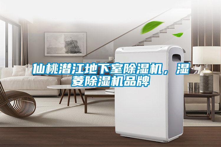 仙桃潛江地下室除濕機(jī)，濕菱除濕機(jī)品牌
