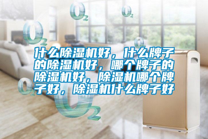什么除濕機(jī)好，什么牌子的除濕機(jī)好，哪個牌子的除濕機(jī)好，除濕機(jī)哪個牌子好，除濕機(jī)什么牌子好