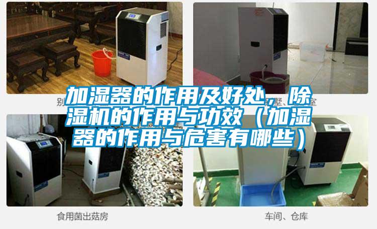 加濕器的作用及好處，除濕機的作用與功效（加濕器的作用與危害有哪些）