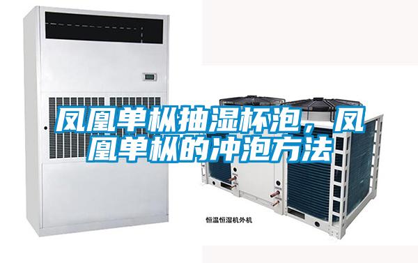 鳳凰單樅抽濕杯泡，鳳凰單樅的沖泡方法