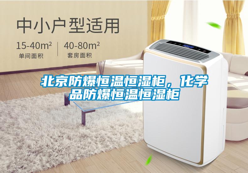 北京防爆恒溫恒濕柜，化學(xué)品防爆恒溫恒濕柜