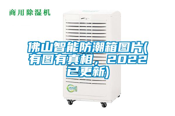 佛山智能防潮箱圖片(有圖有真相，2022已更新)