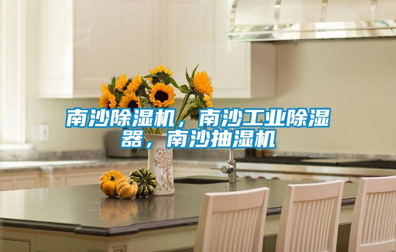 南沙除濕機(jī)，南沙工業(yè)除濕器，南沙抽濕機(jī)