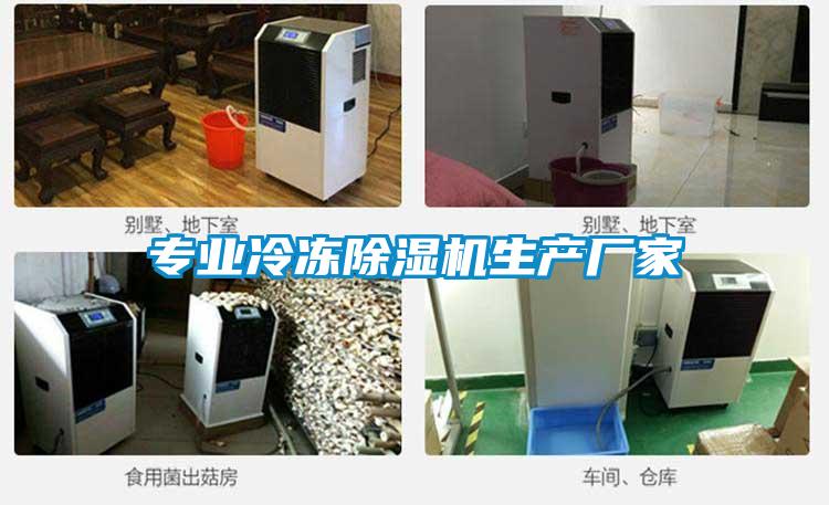 專(zhuān)業(yè)冷凍除濕機(jī)生產(chǎn)廠(chǎng)家