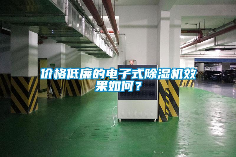 價格低廉的電子式除濕機效果如何？
