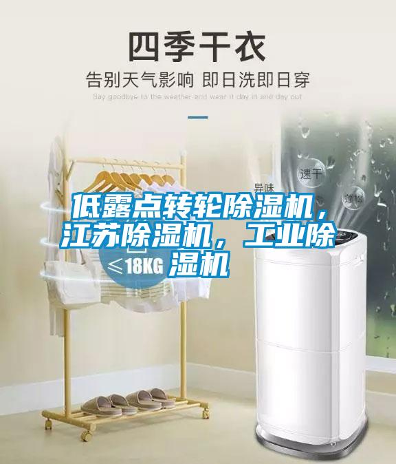 低露點轉(zhuǎn)輪除濕機，江蘇除濕機，工業(yè)除濕機