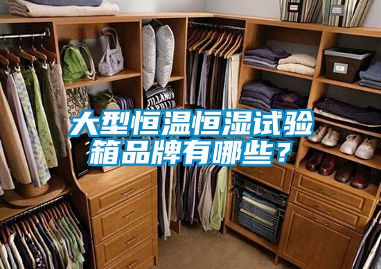 大型恒溫恒濕試驗(yàn)箱品牌有哪些？
