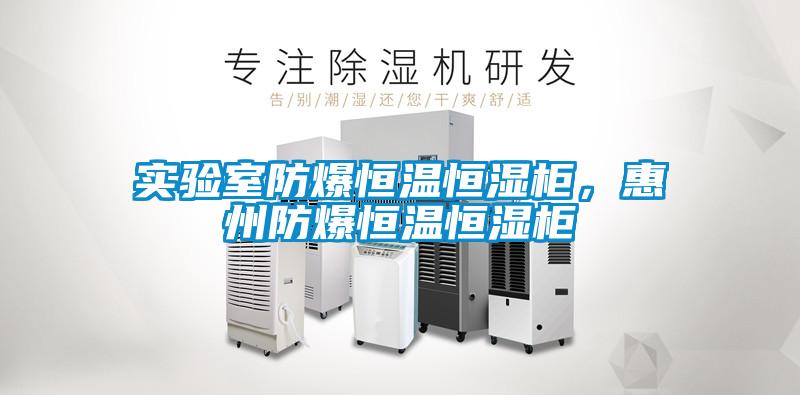 實(shí)驗(yàn)室防爆恒溫恒濕柜，惠州防爆恒溫恒濕柜