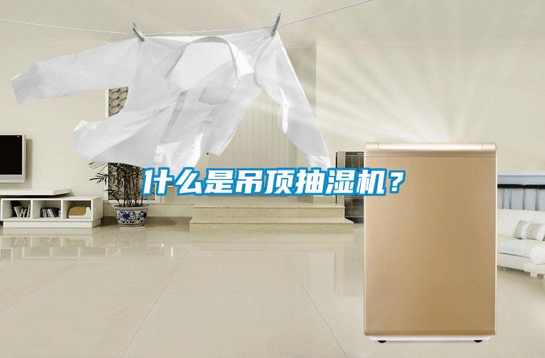 什么是吊頂抽濕機？