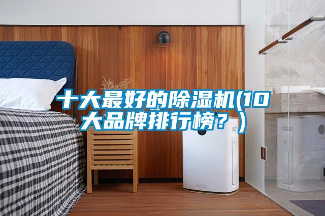 十大最好的除濕機(10大品牌排行榜？)