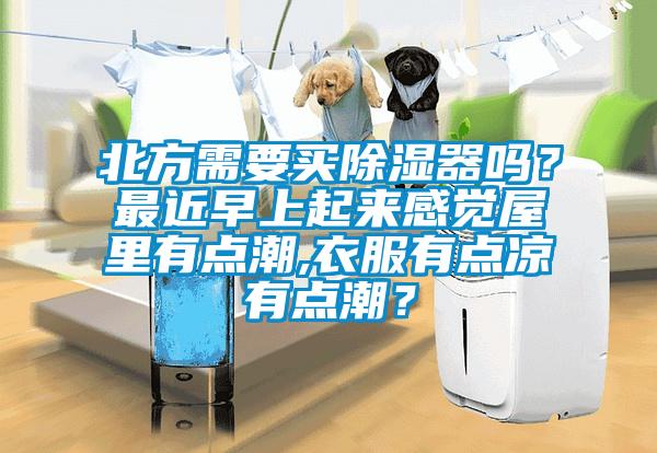 北方需要買除濕器嗎？最近早上起來感覺屋里有點(diǎn)潮,衣服有點(diǎn)涼有點(diǎn)潮？