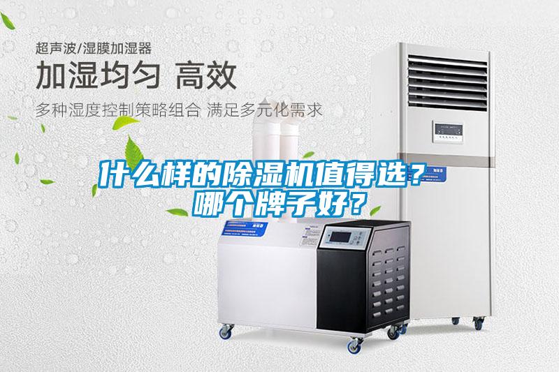 什么樣的除濕機(jī)值得選？ 哪個(gè)牌子好？