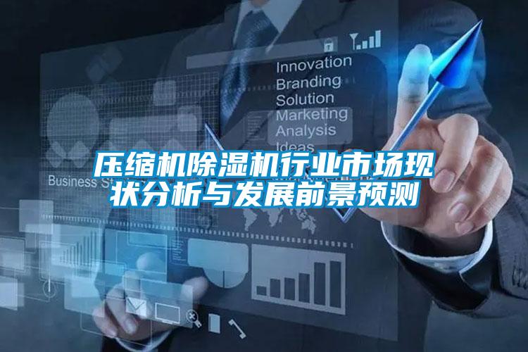 壓縮機(jī)除濕機(jī)行業(yè)市場(chǎng)現(xiàn)狀分析與發(fā)展前景預(yù)測(cè)