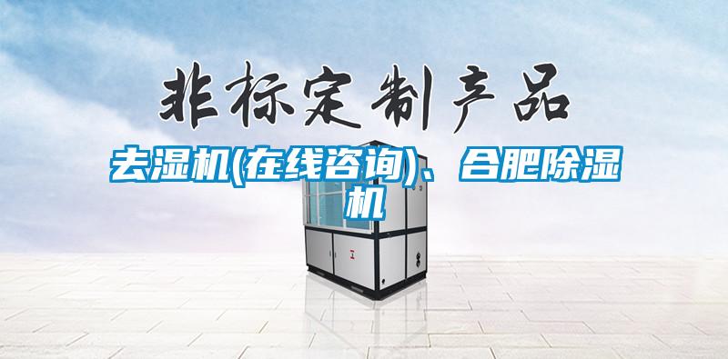 去濕機(jī)(在線咨詢)、合肥除濕機(jī)