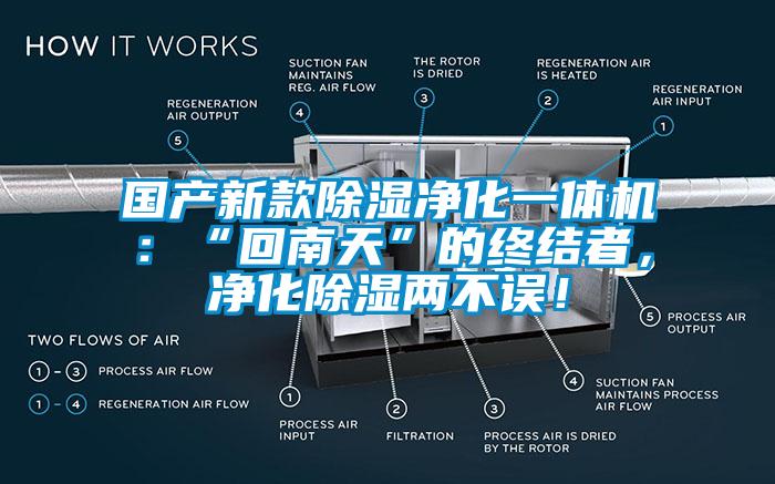 國產(chǎn)新款除濕凈化一體機(jī)：“回南天”的終結(jié)者，凈化除濕兩不誤！