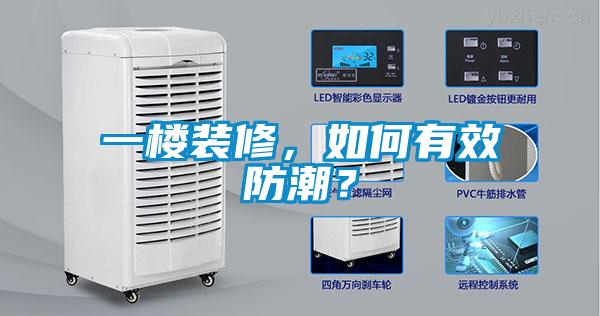 一樓裝修，如何有效防潮？