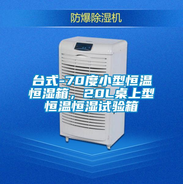 臺式-70度小型恒溫恒濕箱，20L桌上型恒溫恒濕試驗箱