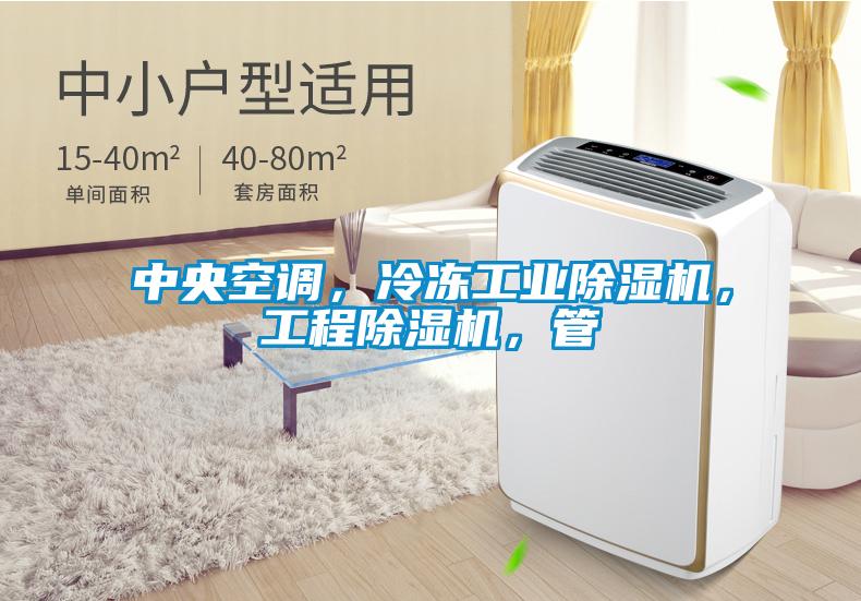 中央空調(diào)，冷凍工業(yè)除濕機，工程除濕機，管