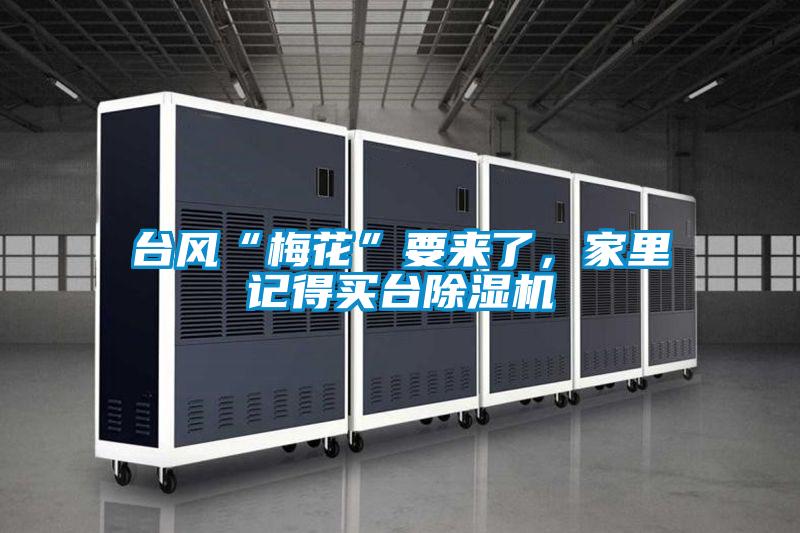 臺(tái)風(fēng)“梅花”要來(lái)了，家里記得買(mǎi)臺(tái)除濕機(jī)