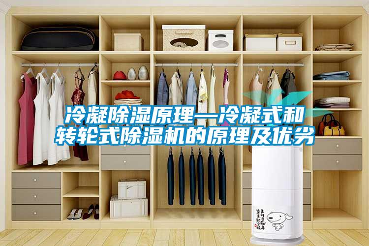 冷凝除濕原理—冷凝式和轉(zhuǎn)輪式除濕機的原理及優(yōu)劣