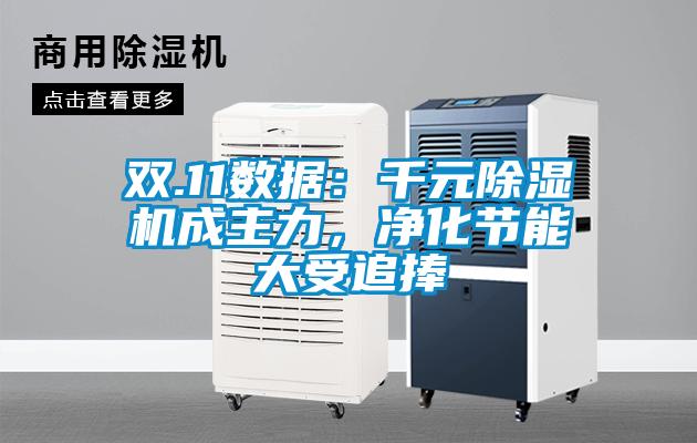 雙.11數(shù)據(jù)：千元除濕機成主力，凈化節(jié)能大受追捧