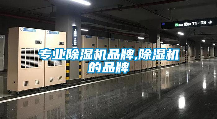 專(zhuān)業(yè)除濕機(jī)品牌,除濕機(jī)的品牌